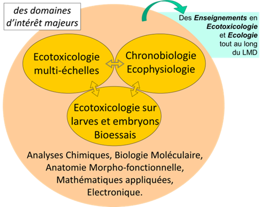 Les domaines d'expertise de l'équipe Ecotoxicologie Aquatique