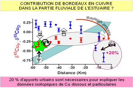 Cu dans l'Estuaire